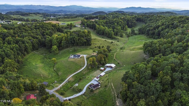 aerial view with a mountain view