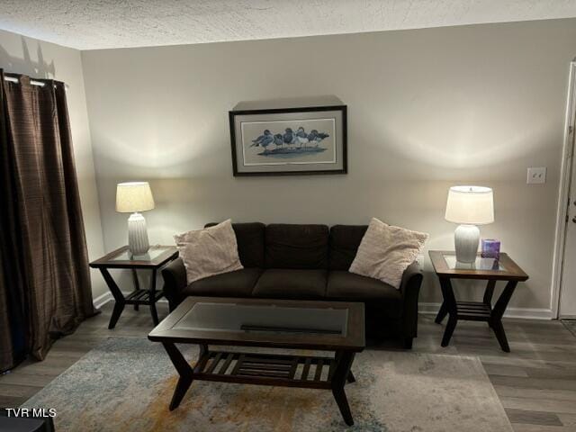 living area featuring a textured ceiling, baseboards, and wood finished floors