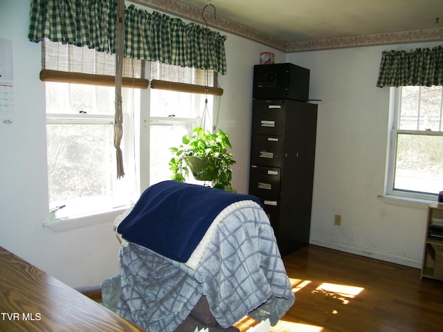 bedroom featuring multiple windows and dark hardwood / wood-style floors