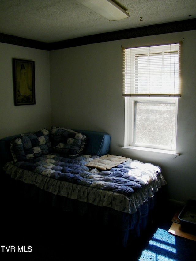 bedroom featuring a textured ceiling and multiple windows