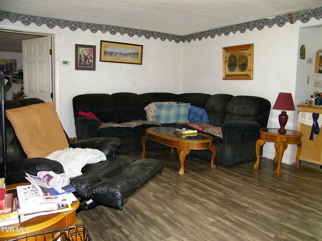 living room with dark hardwood / wood-style floors