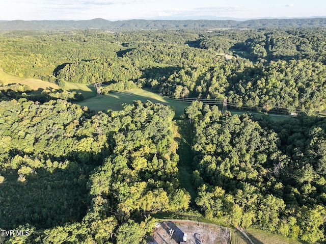 0 Long Town Rd, Bulls Gap, TN 37711 - photo 2