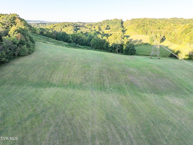 0 Long Town Rd, Bulls Gap, TN 37711 - photo 3