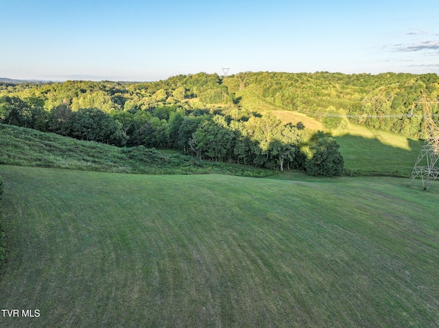 0 Long Town Rd, Bulls Gap TN, 37711 land for sale