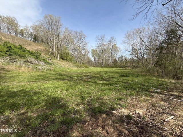 0 Long Town Rd, Bulls Gap, TN 37711 - photo 5