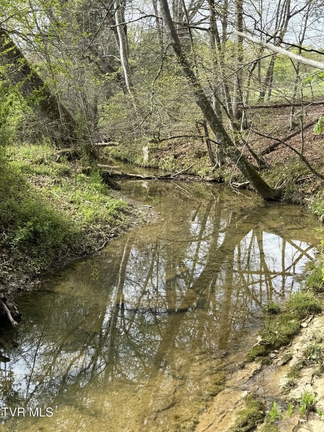 0 Long Town Rd, Bulls Gap, TN 37711 - photo 6