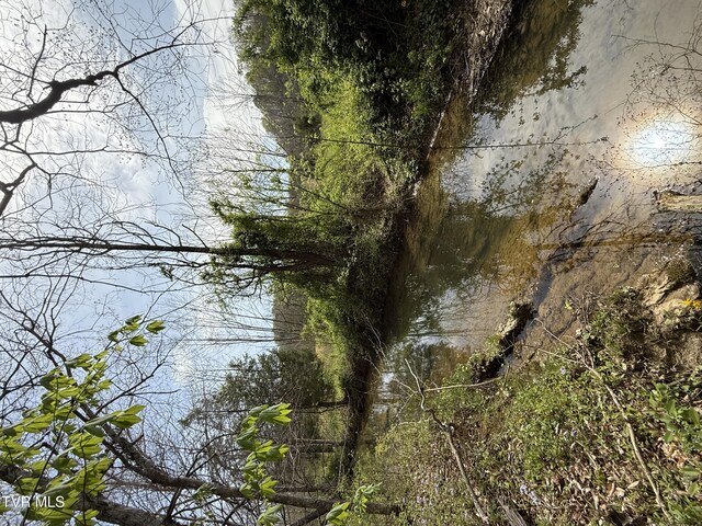 0 Long Town Rd, Bulls Gap, TN 37711 - photo 7