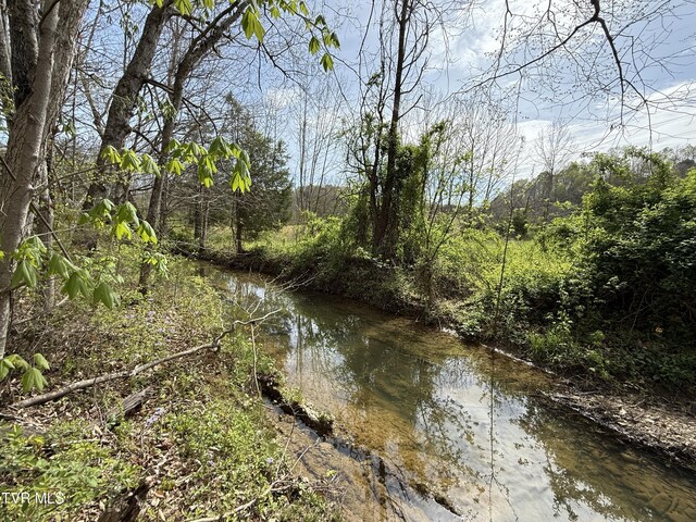 0 Long Town Rd, Bulls Gap, TN 37711 - photo 8