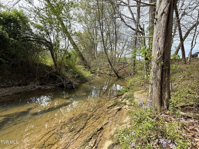 0 Long Town Rd, Bulls Gap, TN 37711 - photo 9