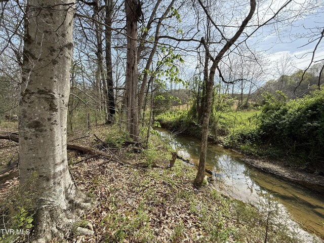 0 Long Town Rd, Bulls Gap, TN 37711 - photo 10