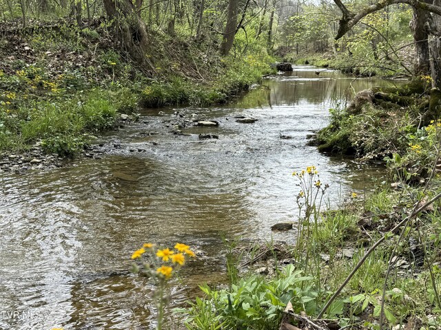 0 Long Town Rd, Bulls Gap, TN 37711 - photo 11