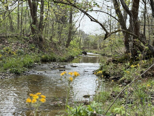 0 Long Town Rd, Bulls Gap, TN 37711 - photo 12