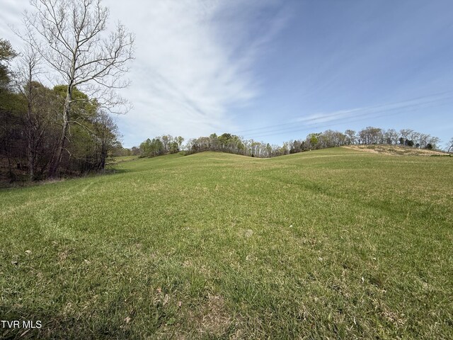 0 Long Town Rd, Bulls Gap, TN 37711 - photo 13