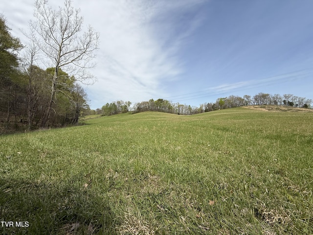 0 Long Town Rd, Bulls Gap, TN 37711 - photo 14