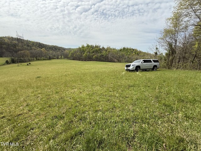 0 Long Town Rd, Bulls Gap, TN 37711 - photo 15