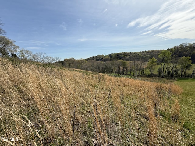 0 Long Town Rd, Bulls Gap, TN 37711 - photo 16