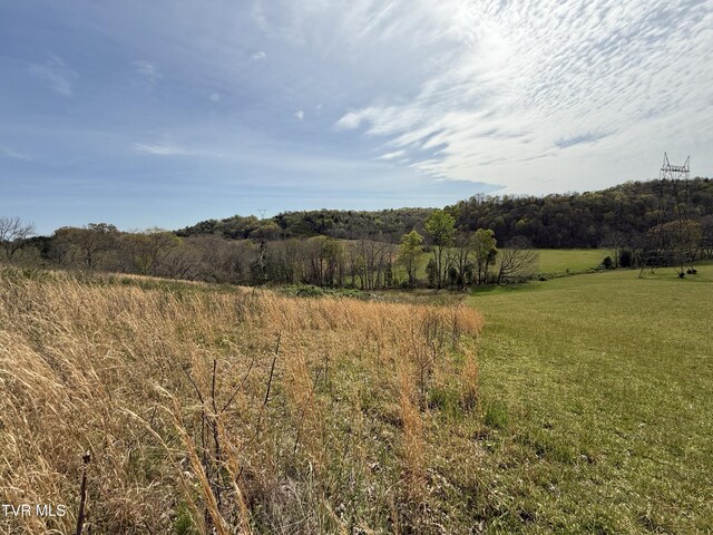 0 Long Town Rd, Bulls Gap, TN 37711 - photo 17