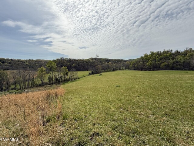 0 Long Town Rd, Bulls Gap, TN 37711 - photo 18