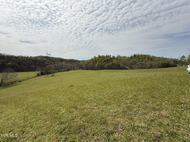0 Long Town Rd, Bulls Gap, TN 37711 - photo 19