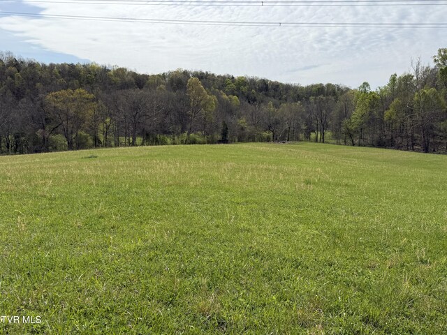 0 Long Town Rd, Bulls Gap, TN 37711 - photo 21