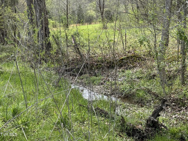 0 Long Town Rd, Bulls Gap, TN 37711 - photo 23