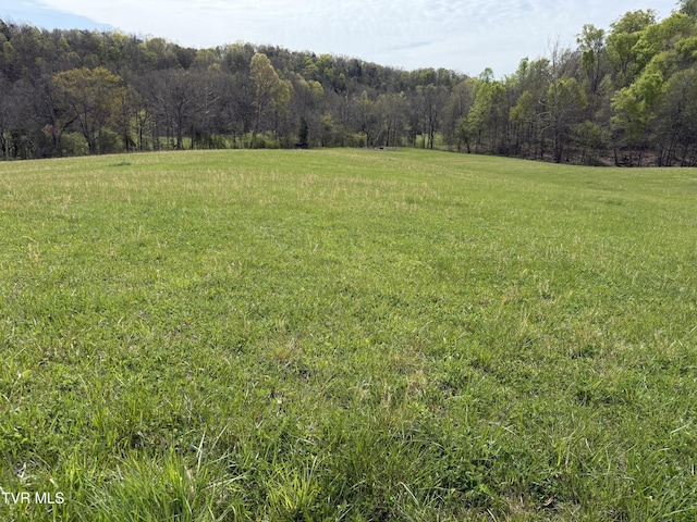 0 Long Town Rd, Bulls Gap, TN 37711 - photo 25