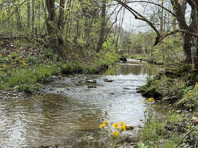 0 Long Town Rd, Bulls Gap, TN 37711 - photo 26