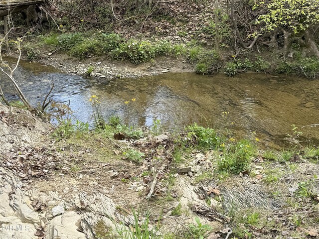 0 Long Town Rd, Bulls Gap, TN 37711 - photo 27