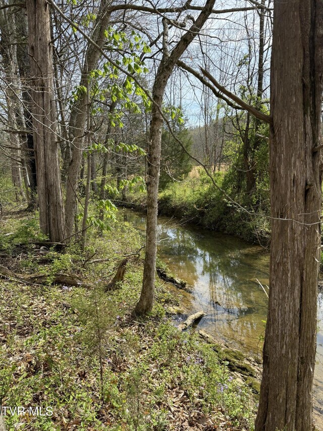 0 Long Town Rd, Bulls Gap, TN 37711 - photo 22