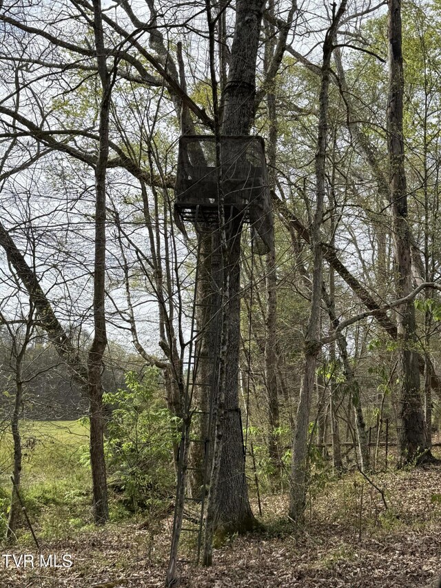 0 Long Town Rd, Bulls Gap, TN 37711 - photo 24
