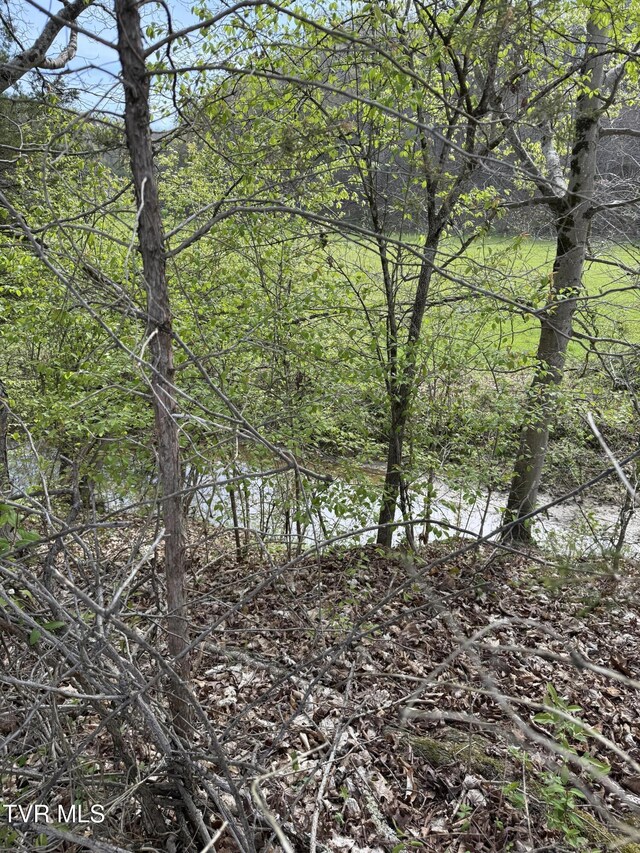 0 Long Town Rd, Bulls Gap, TN 37711 - photo 28
