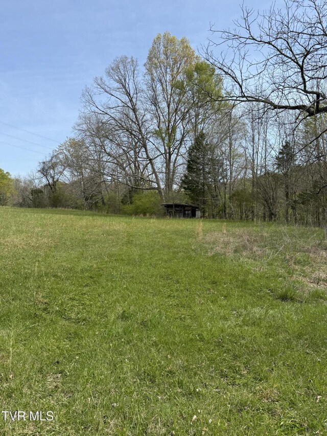 0 Long Town Rd, Bulls Gap, TN 37711 - photo 29