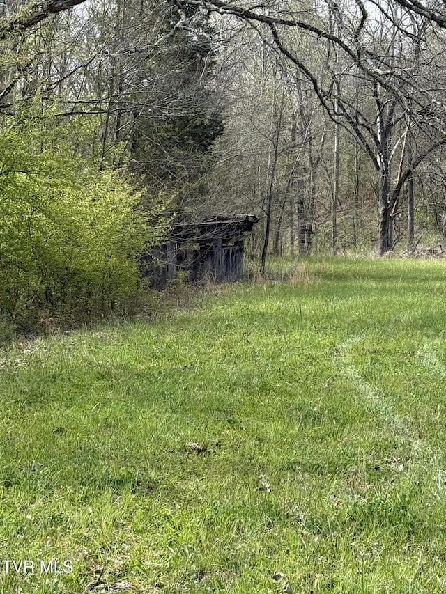 0 Long Town Rd, Bulls Gap, TN 37711 - photo 4