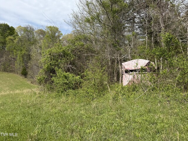 0 Long Town Rd, Bulls Gap, TN 37711 - photo 31