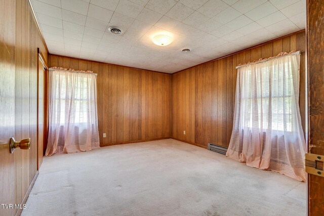 empty room with light carpet, wood walls, and a wealth of natural light