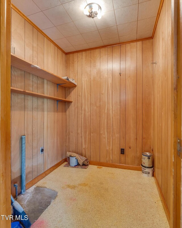 laundry room featuring wooden walls and carpet