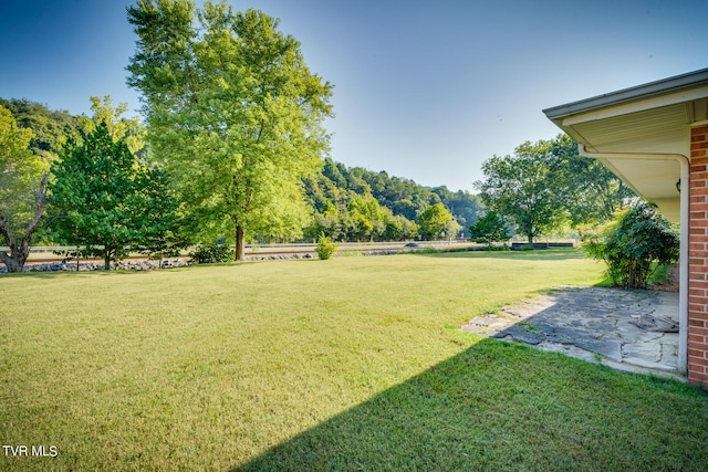 view of yard featuring a patio