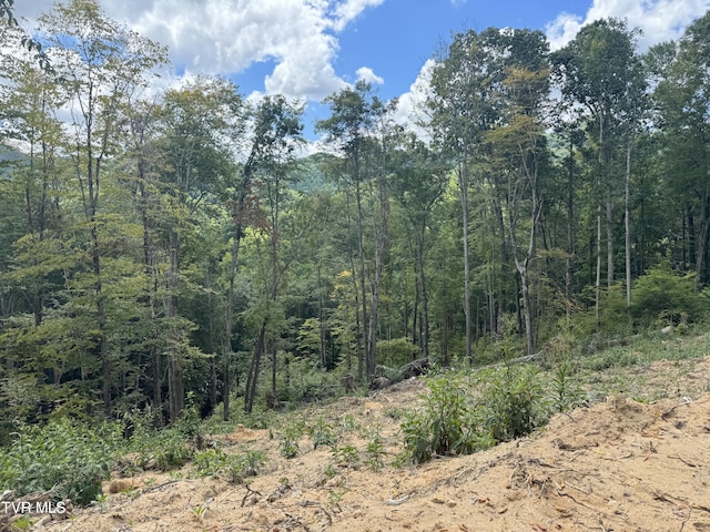 221 Shell Creek Rd, Roan Mountain, TN 37687 - photo 1