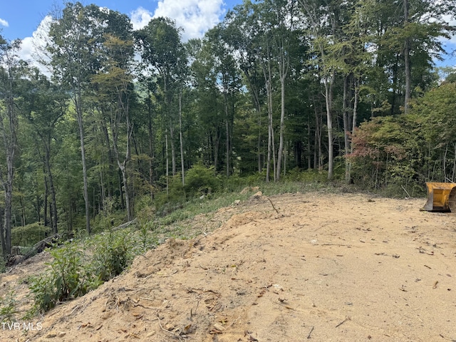 221 Shell Creek Rd, Roan Mountain, TN 37687 - photo 2