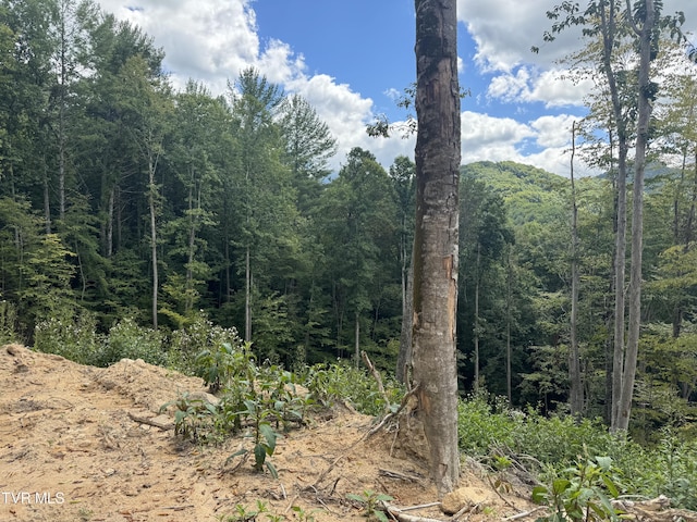 221 Shell Creek Rd, Roan Mountain, TN 37687 - photo 3