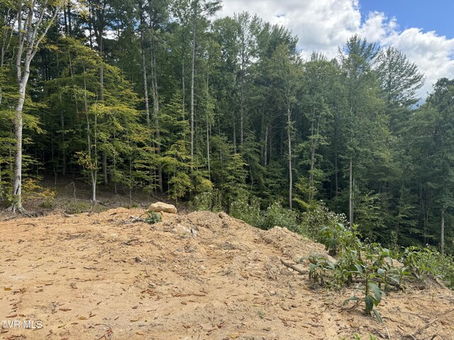 221 Shell Creek Rd, Roan Mountain, TN 37687 - photo 4