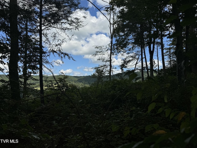 221 Shell Creek Rd, Roan Mountain, TN 37687 - photo 5