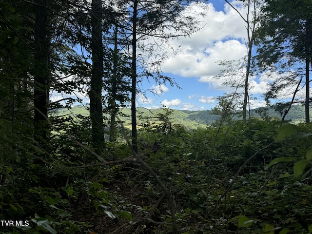 221 Shell Creek Rd, Roan Mountain, TN 37687 - photo 6