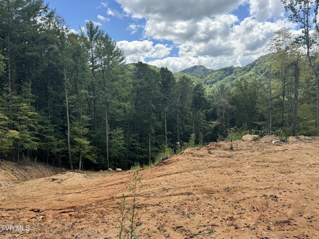 221 Shell Creek Rd, Roan Mountain, TN 37687 - photo 7