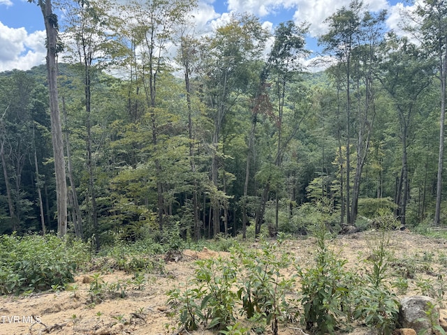 221 Shell Creek Rd, Roan Mountain, TN 37687 - photo 10