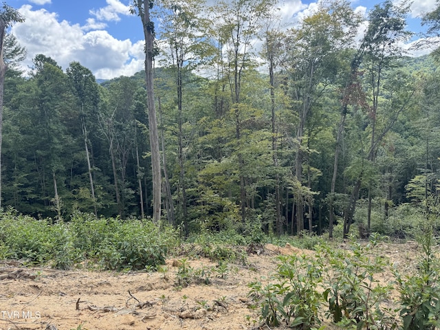 221 Shell Creek Rd, Roan Mountain, TN 37687 - photo 11