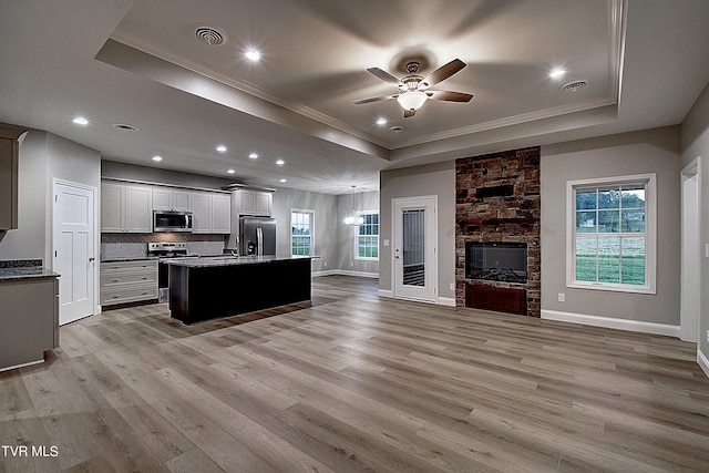 kitchen with a tray ceiling, appliances with stainless steel finishes, a wealth of natural light, and ceiling fan