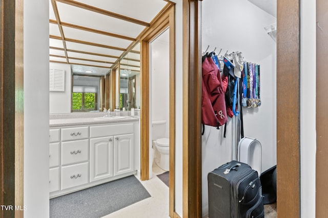 bathroom with toilet and vanity