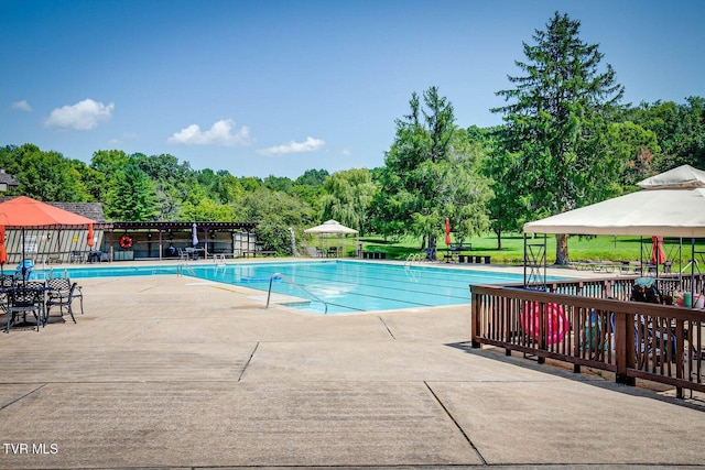 view of pool featuring a patio