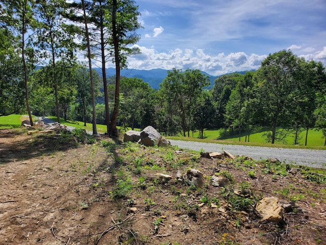 LOT11 Draft Rd, Butler TN, 37640 land for sale